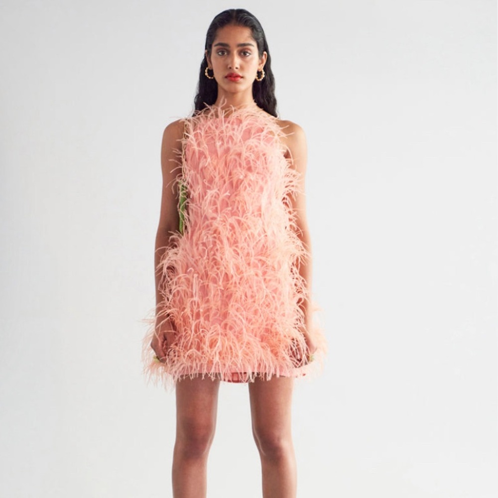 Cult Gaia feather Mini Dress -size S ( pink, NWT)